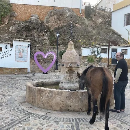 Casa El Higueral Mecina Alfahar
